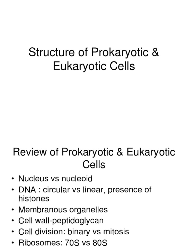 Prokaryotic and Eukaryotic Cell Structure | PDF | Cell (Biology) | Cell ...