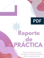Reporte: de Práctica