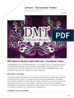 EnergiaConstiintei.ro - DMT Molecula Spiritului Documentar Tradus
