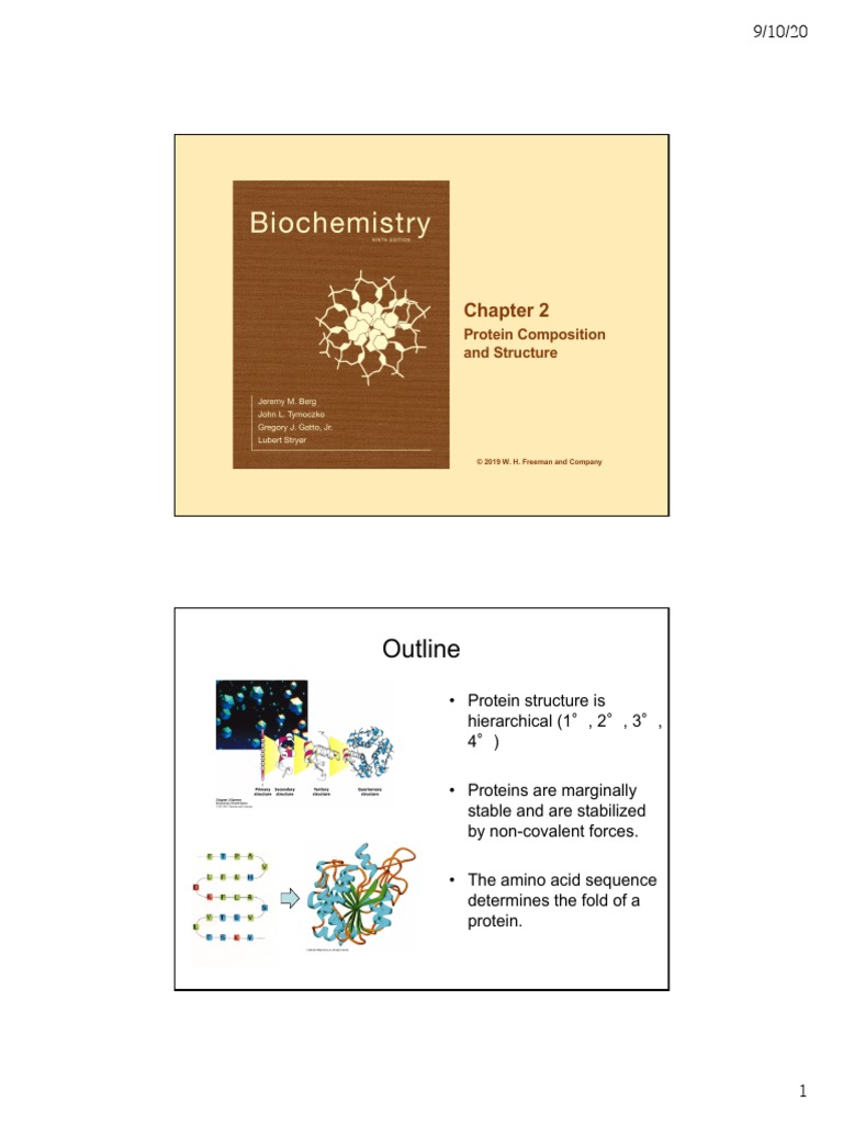 Biochem20 Lecture 5 Slides PDF Protein Folding Proteins