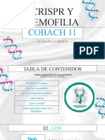 Crispr y Hemofilia - COBACH 11 T.V.