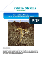 Mycorrhiza