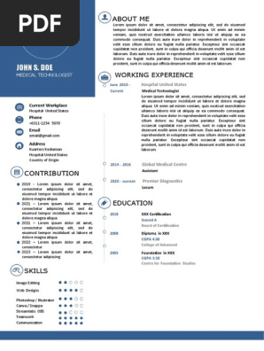 Editable Resume Professional One Page