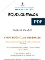 Presentación 12. Equinodermos.