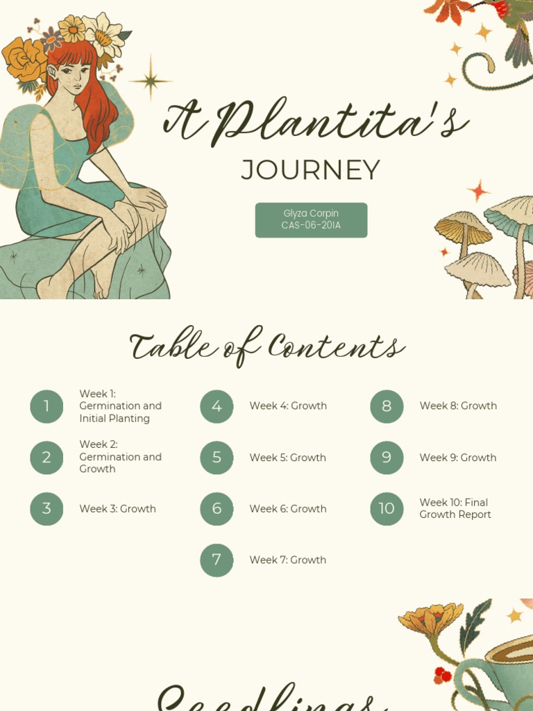 Plant Growth Journey: Basil & More | PDF | Germination | Seedling