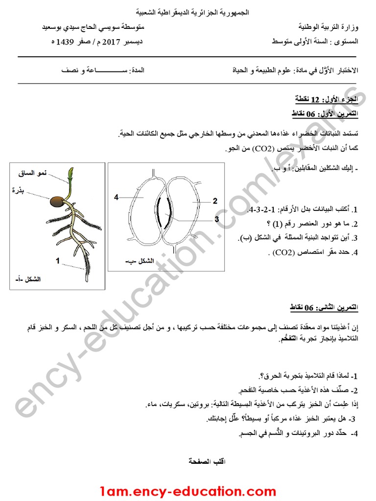 Dzexams 1am Sciences E1 20180 835133 PDF