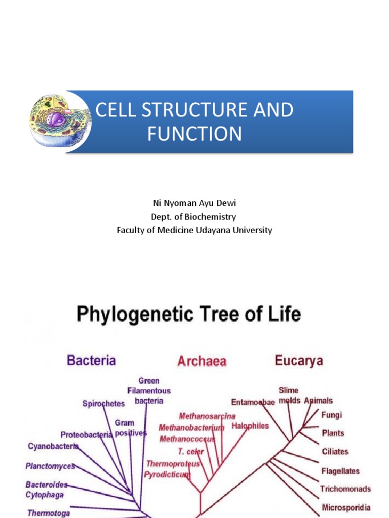 Cell Biology for Medical Students | PDF | Endoplasmic Reticulum | Cell ...