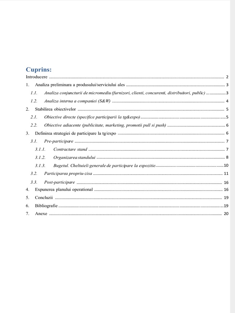Dokumen - Tips - Proiect Tehnici Promoionale | PDF