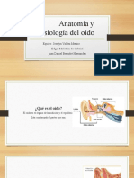 Anatomía y Fisiología Del Oído