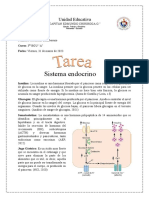 Sistema Endocrino: Unidad Educativa