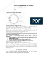 Taller Final de Los Organos de Los Sentidos