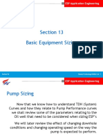 Section 13 BASIC PUMP SIZING FOR ESP