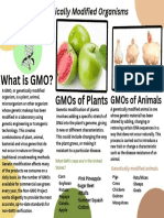 What Is Gmo