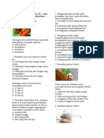 Soal Uas Ipa Kelas 6 Semester 2 Dan Kunci Jawaban