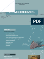 Slides Sobre Placodermi