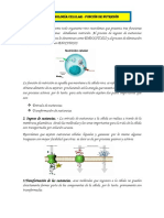 T6-Nutrición Celular