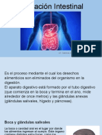 Eliminación Intestinal