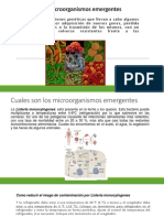 Que Son Microorganismos Emergentes Presentacion Sena