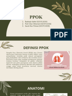 PPOK