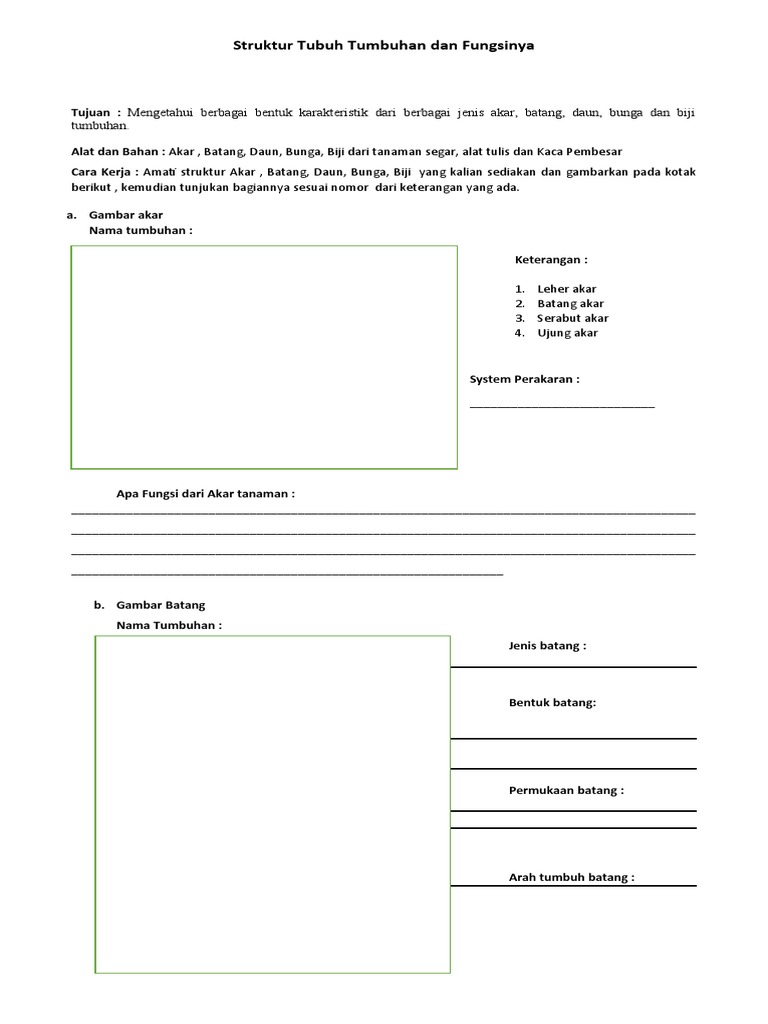 Struktur Tubuh Tumbuhan Dan Fungsinya | PDF