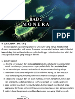 Bab 5 Eubacteria (Bakteri)