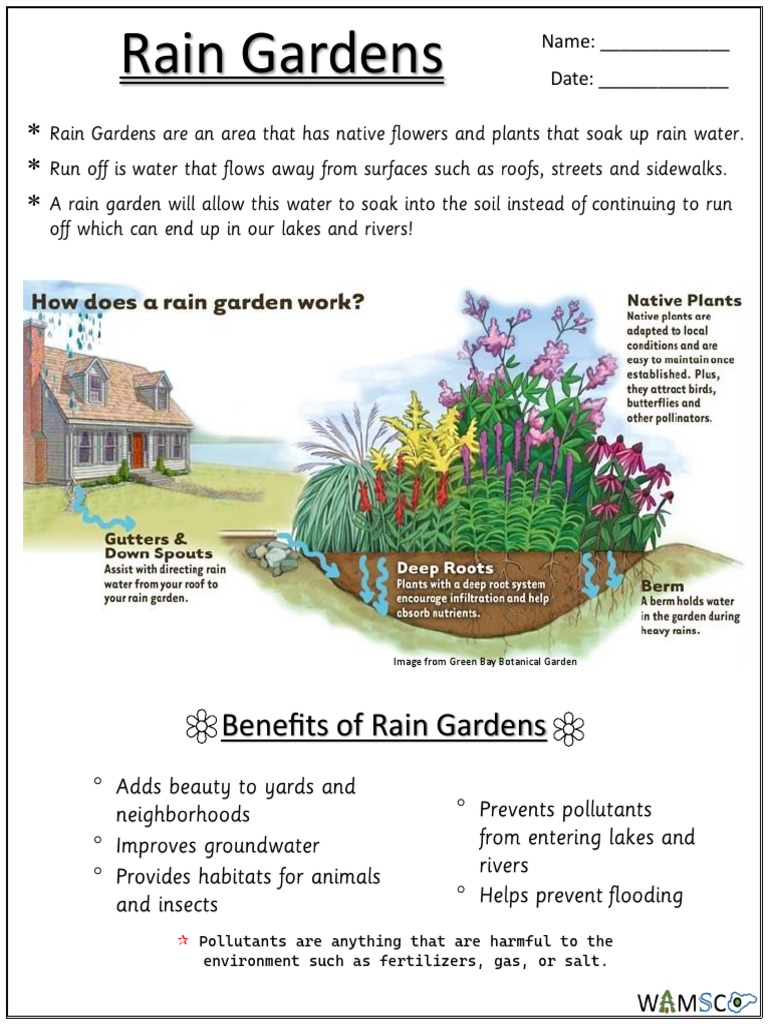Earth Day Rain Garden PDF