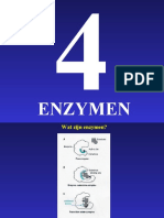 04 Enzymen