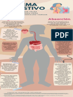 Infografía Digestión y Absorción