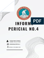 Informe Pericial 4