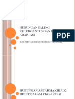 Hubungan Saling Ketergantungan Dan Adaptasi