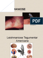 Leishmaniose Parasitologia