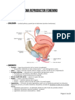 Sistema Reproductor Femenino: Anatomia