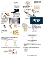 Is A Break in The Continuity of Bone and Is Defined According To Type and Extent