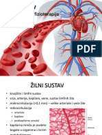 Žilni Sustav