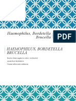 Haemophilus