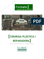 Itinerari Formatiu: Cirurgia Plàstica I Reparadora