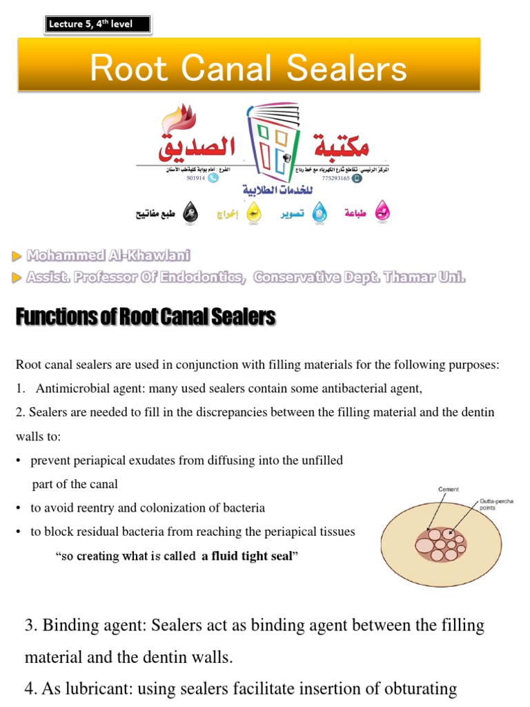 Overview of Root Canal Sealers | PDF | Physical Sciences | Materials