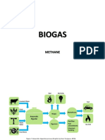 Biogas: Methane