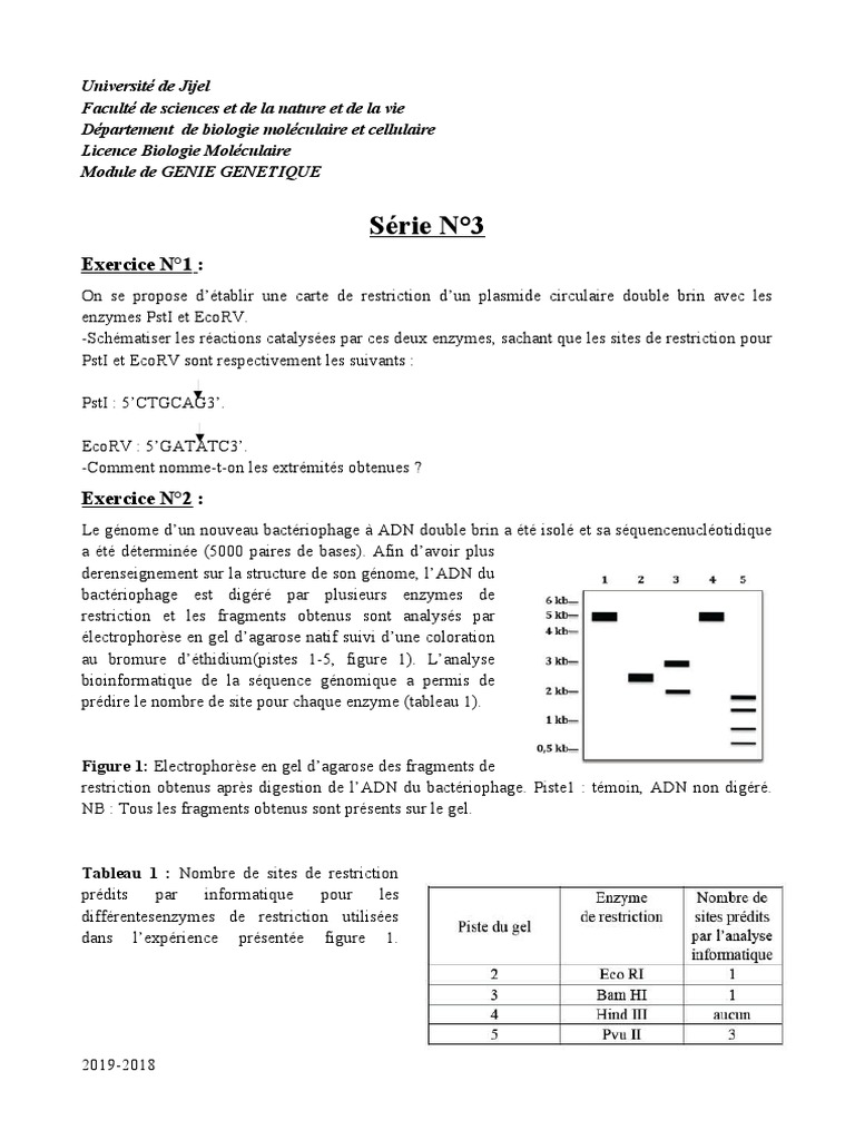Carte de restriction et analyse ADN PDF — free download