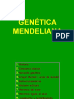 genetica_mendeliana_dihibridismo