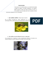 Especies de Abejas