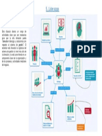 Punto 5 ISO 9001-2015