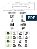 Evaluación Sentidos 1º