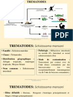 Trematode S