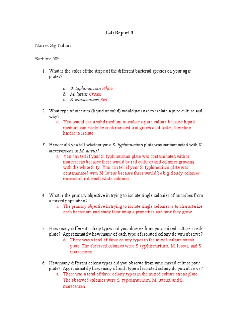Lab Report - 3 | PDF | Science & Mathematics