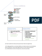 Apuntes Psicologia