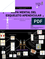 Mapa Mental - Esqueleto Apendicular