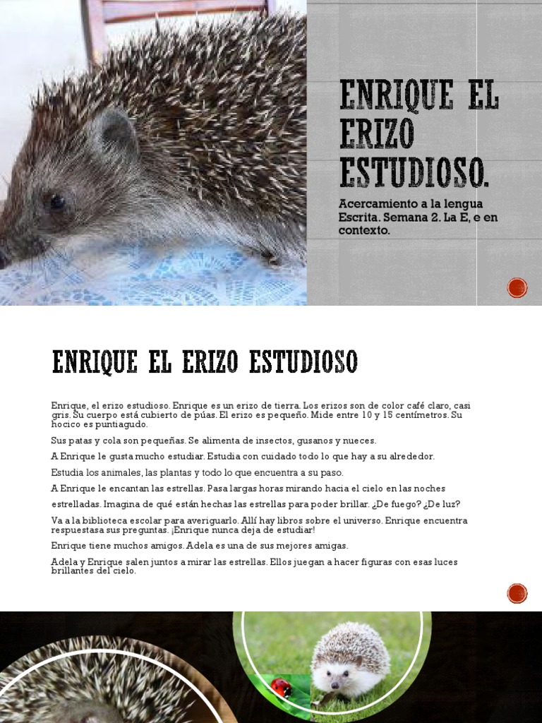 Enrique, el erizo estudioso y sus aventuras | PDF | Artes del Lenguaje ...