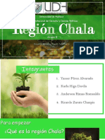 Region Chala