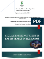 Ciclagem de Nutrientes em Sistemas Integrados